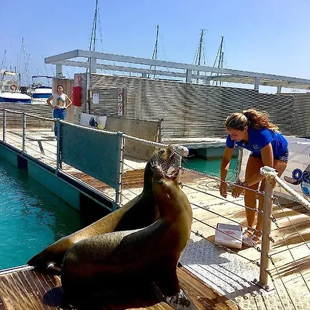 Vila Melissa Costa De Antigua