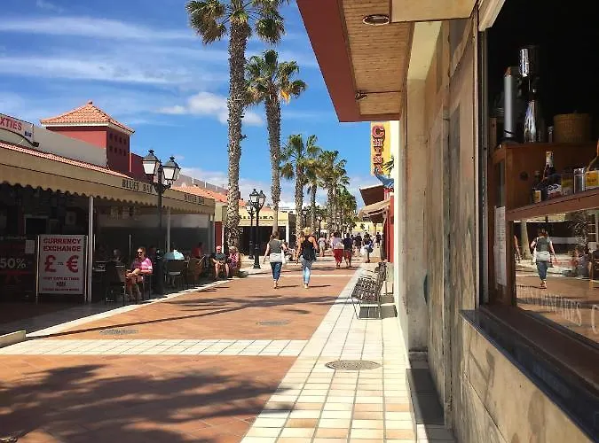 Willa Luxury Melissa