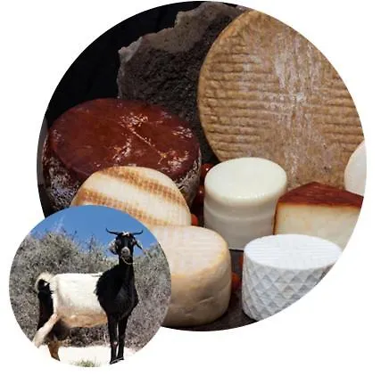 Luxury Melissa Villa