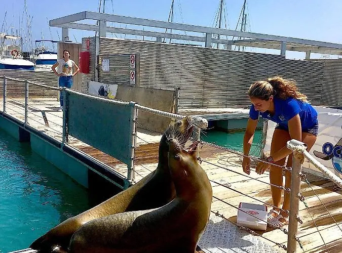 Willa Luxury Melissa Costa De Antigua